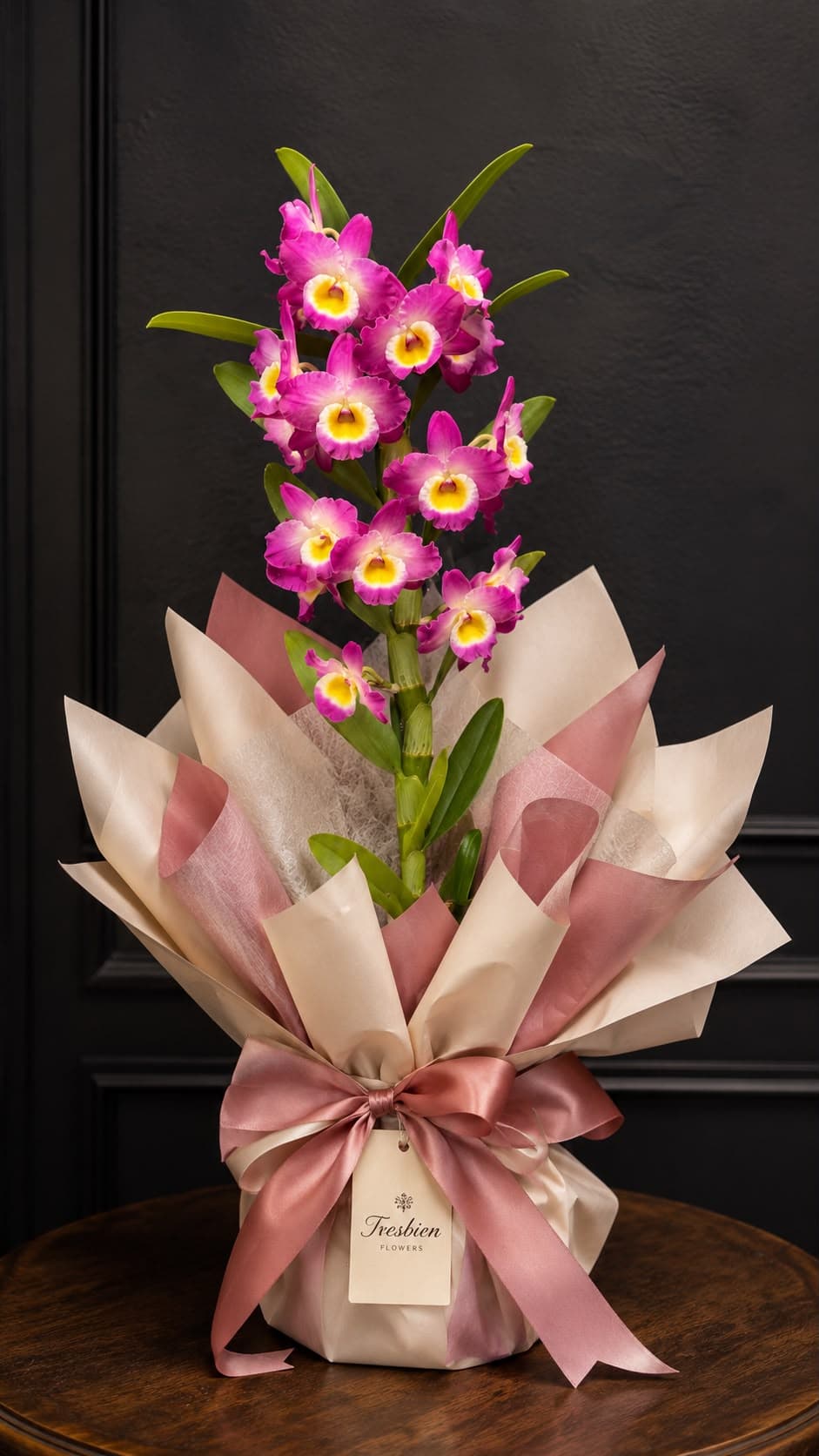 Dendrobium Orkide