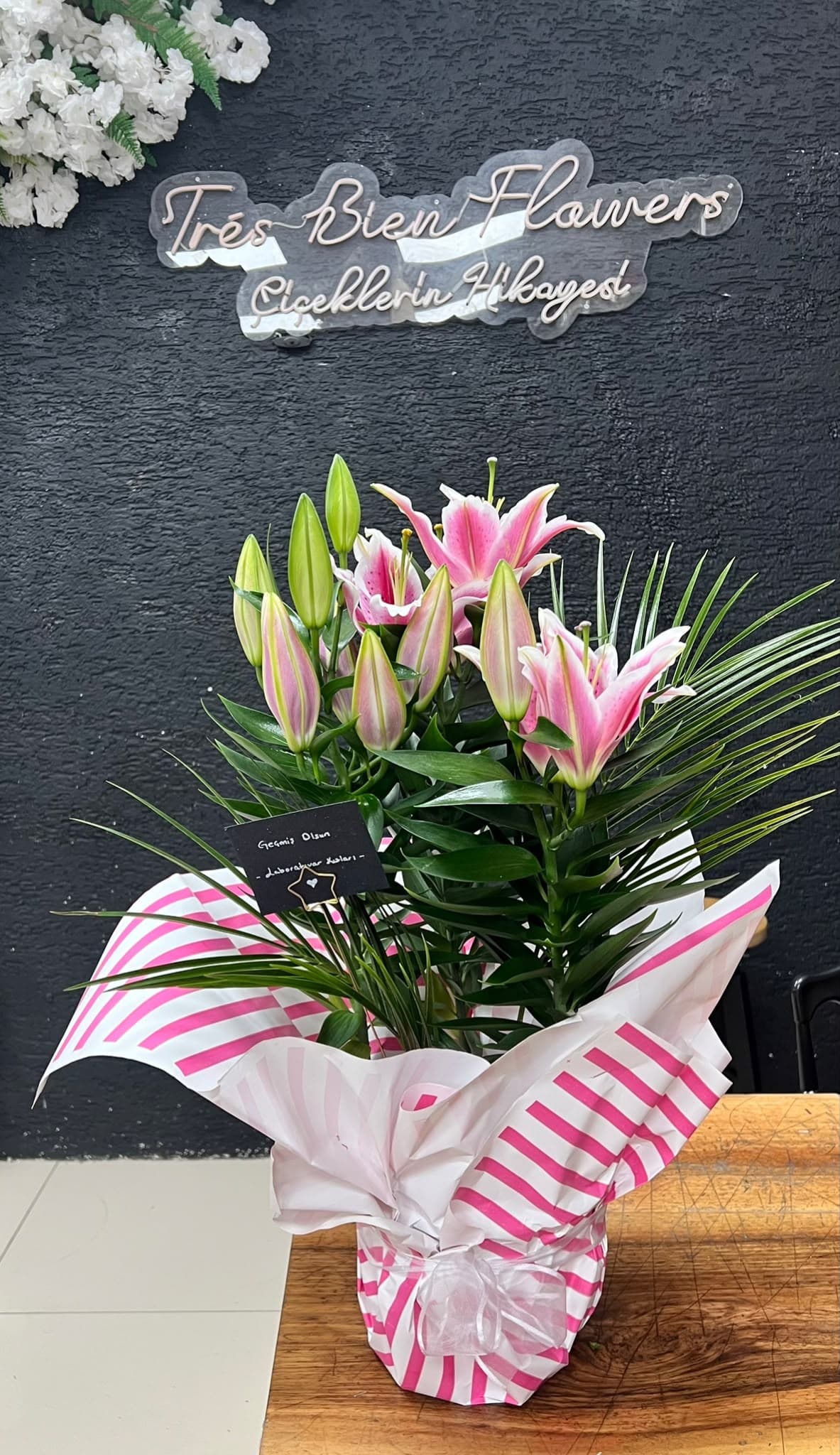 Saksıda Pembe Lilyum